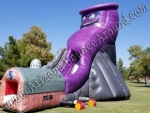 Twister Slide Rental Phoenix Arizona