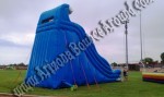 Inflatable Slide Rental Phoenix Arizona